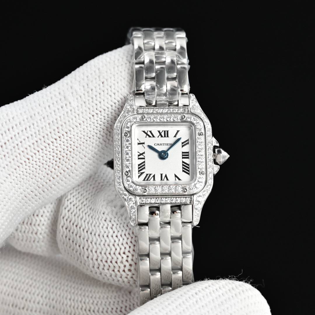 Cartier Panther